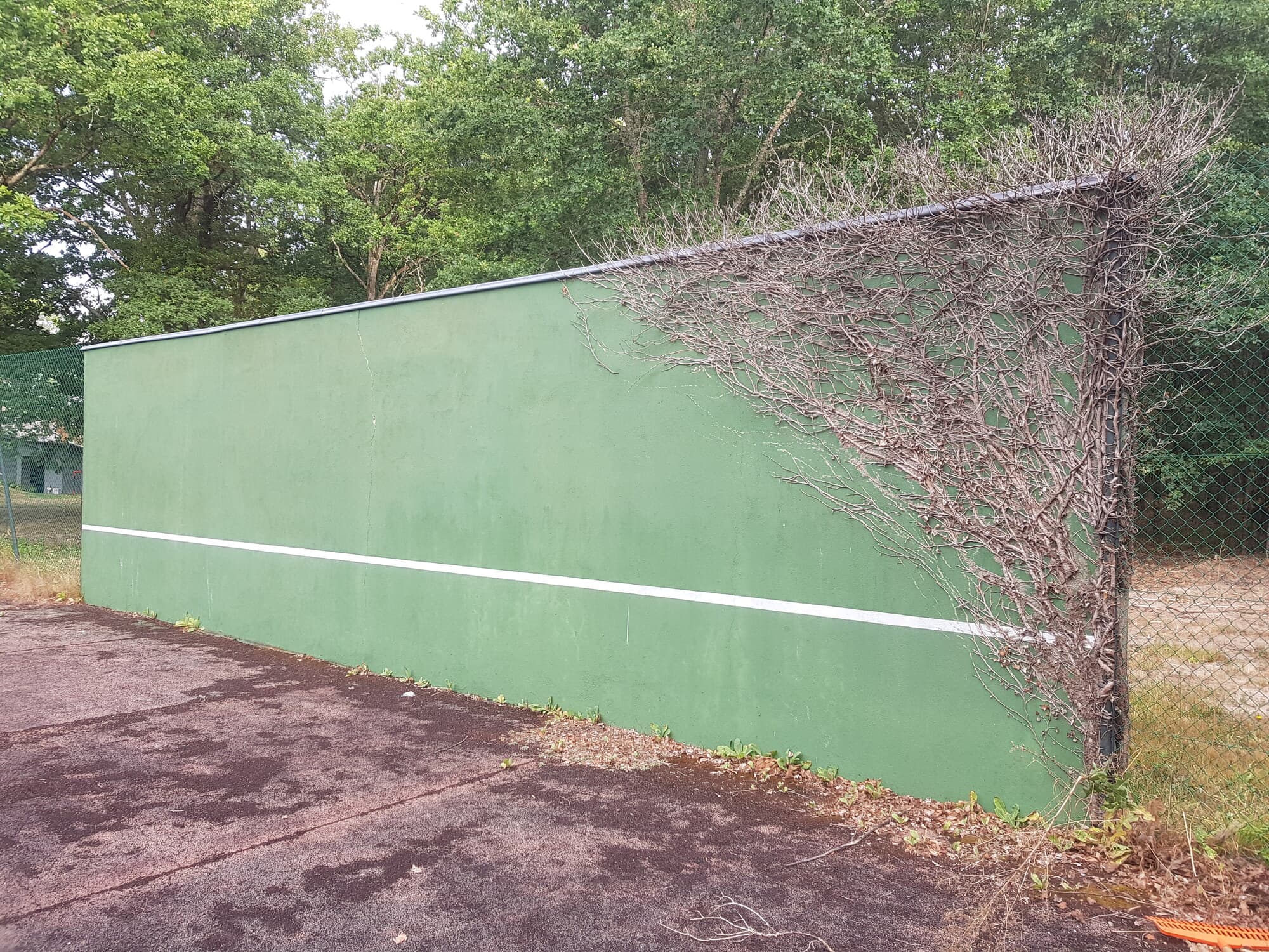 Mur d'entraînement vert envahi par les buissons
